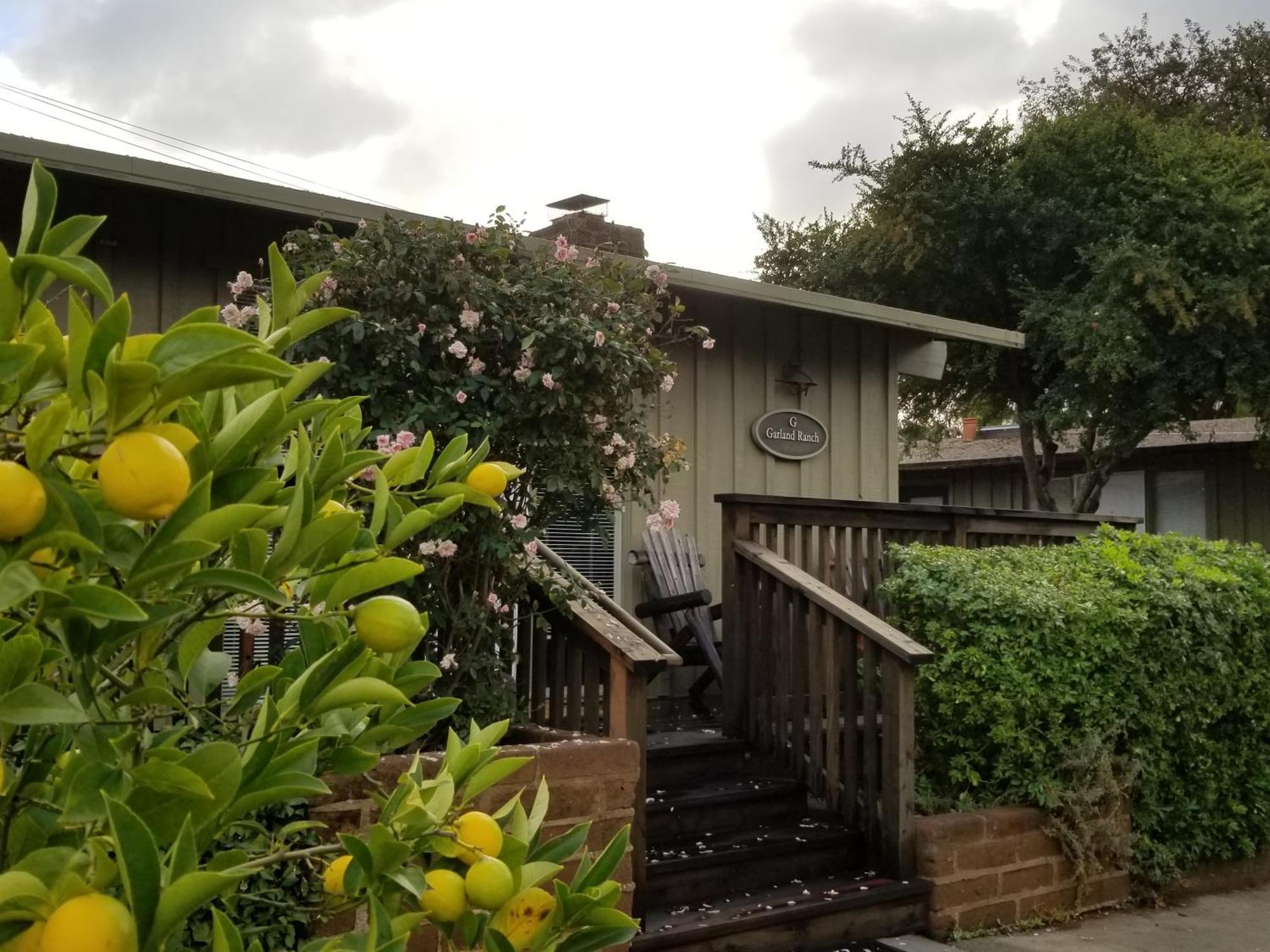 Carmel Valley Lodge Bagian luar foto