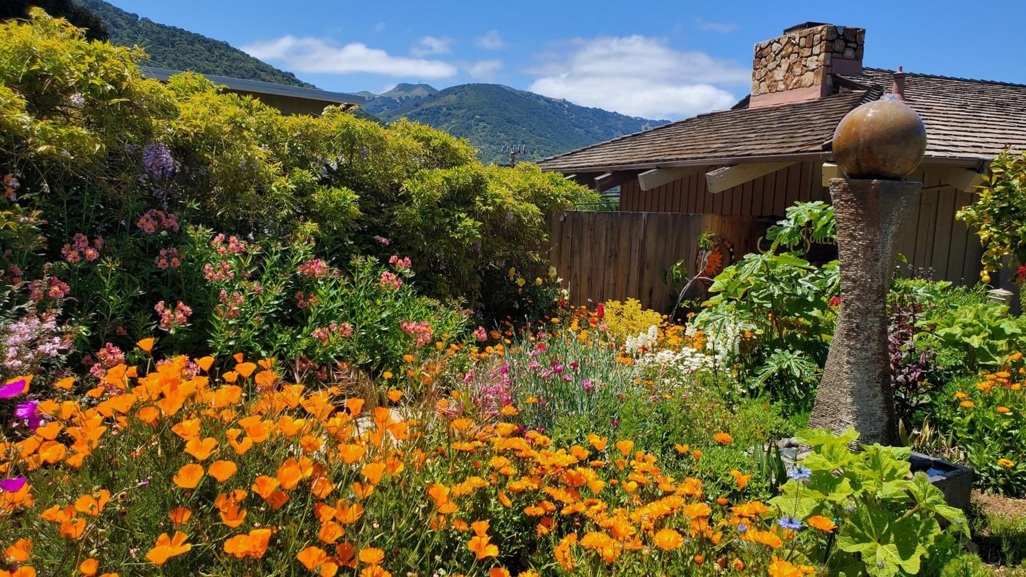 Carmel Valley Lodge Bagian luar foto