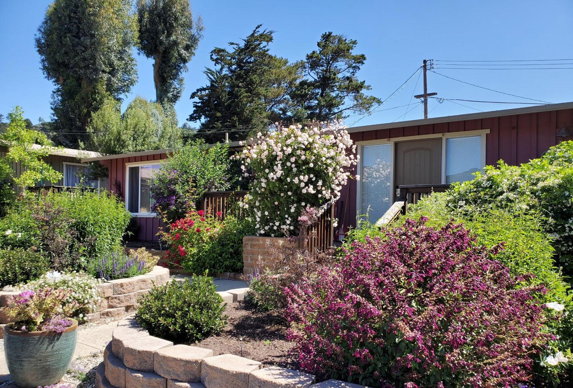 Carmel Valley Lodge Bagian luar foto